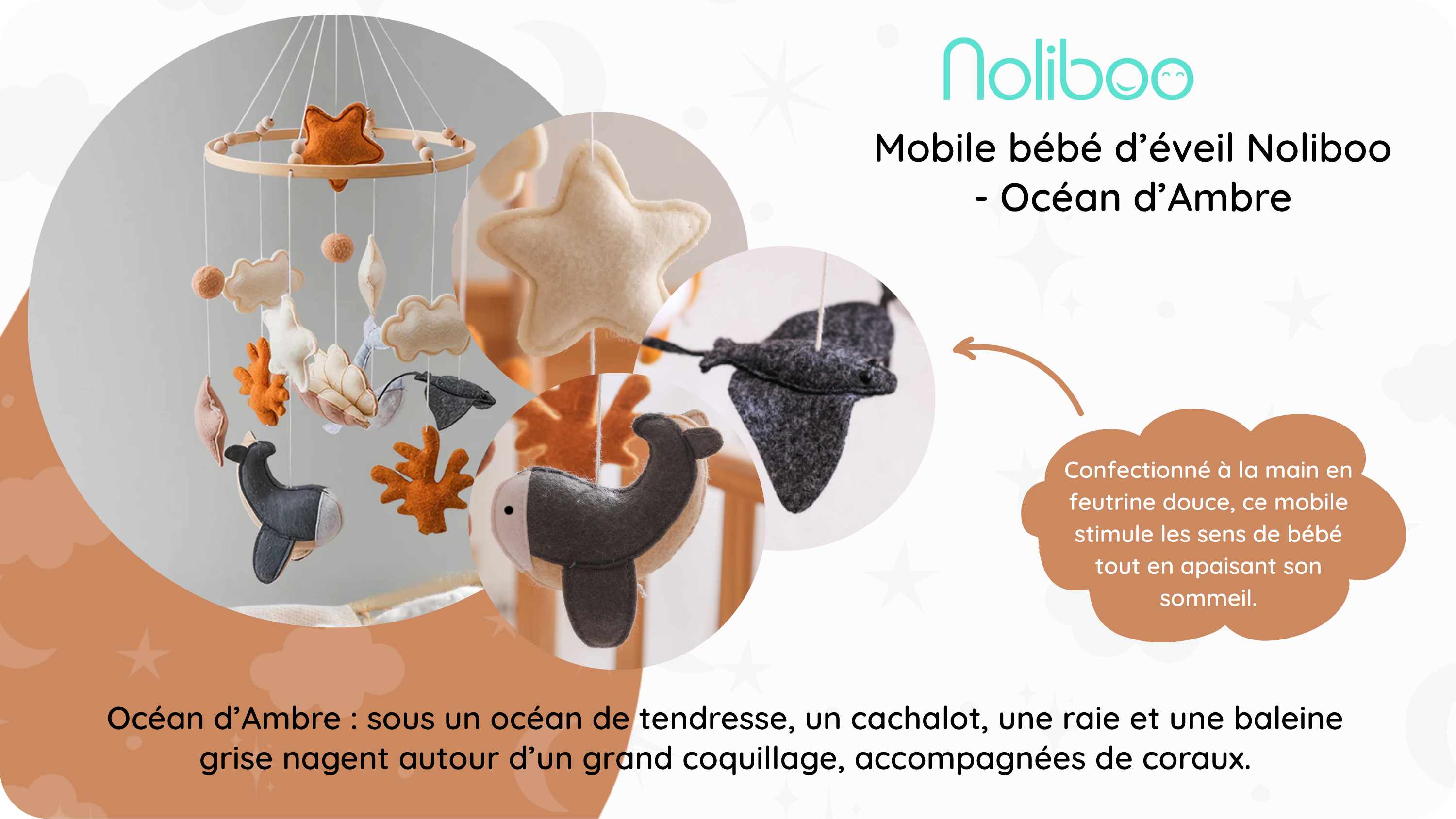 Charger la vidéo : 